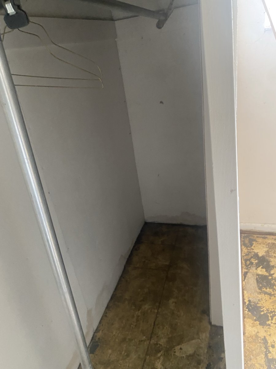 Ovilance property cleanout